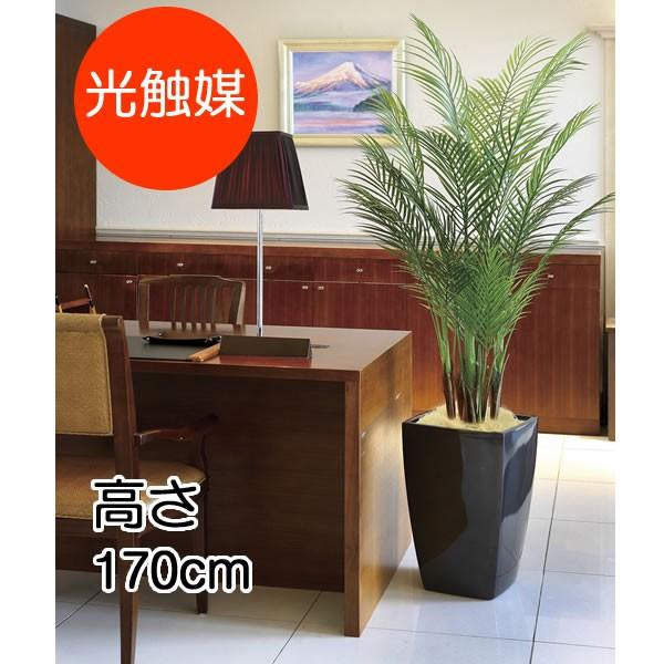 即納特典付き 観葉植物 おしゃれ 大型 アーバンアレカパーム 1 7m ポリ製 インテリア フェイク 造花 鉢 おしゃれ オフィス ロビー 代金引換不可 激安ブランド Www Maxipiso Com Ar