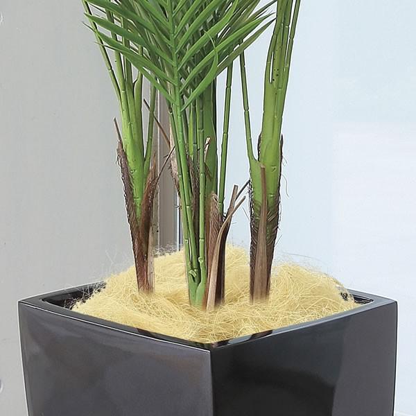 100％の保証100％の保証観葉植物 おしゃれ 大型 アーバンアレカパーム