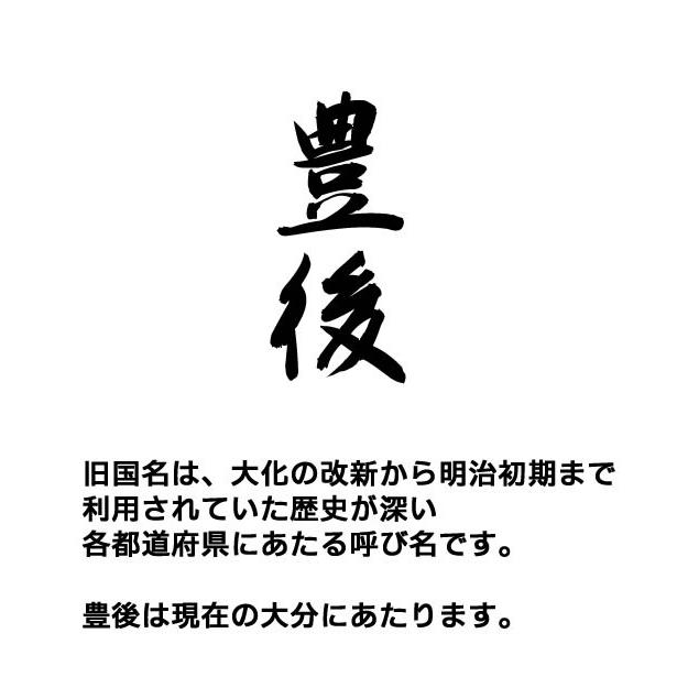 豊後 Tシャツ 旧国名 雑貨 グッズ おしゃれ 衣装 S M L Xl プリント メンズ レディース おもしろ雑貨 おもしろtシャツ 漢字 地域 ご当地 九州地方 Bungo T コスチュームで仮装大賞 通販 Yahoo ショッピング