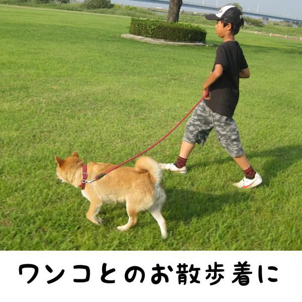 チワワ グッズ Tシャツ 犬 雑貨 S M L Xl プリント メンズ レディース かわいい おもしろ雑貨 おもしろtシャツ 可愛い Chihuahua T コスチュームで仮装大賞 通販 Yahoo ショッピング