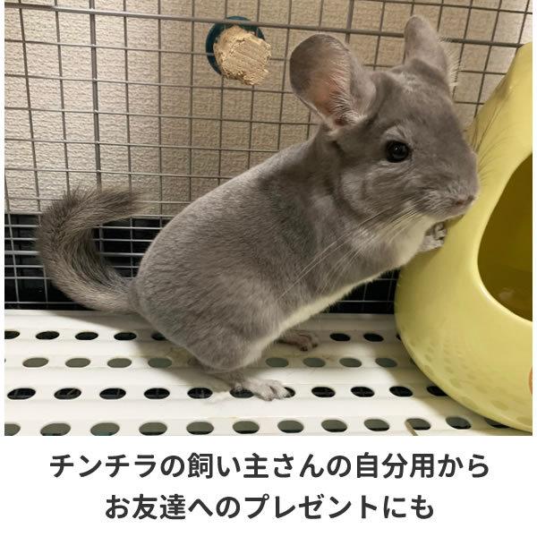 チンチラ グッズ Tシャツ チンチラグッズ 服 雑貨 オリジナル メンズ レディース S M L Xl 3l 4l プリント 面白い 可愛い おしゃれ かわいい Chinchira T コスチュームで仮装大賞 通販 Yahoo ショッピング