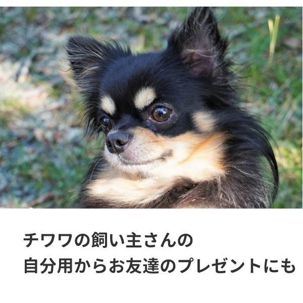 チワワ Tシャツ グッズ 毛長 雑貨 服 おもしろ オリジナル メンズ レディース S M L Xl 3l 4l プリント 犬 面白い 可愛い おしゃれ かわいい ギフト Chiwawa Long T コスチュームで仮装大賞 通販 Yahoo ショッピング