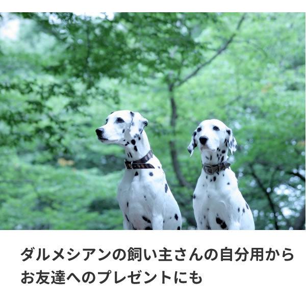 ダルメシアン Tシャツ トップス ダルメシアン柄 生地 グッズ 犬 服 雑貨 オリジナル メンズ レディース 子供 S M L Xl 3l 4l プリント おしゃれ かわいい ギフト Dal T コスチュームで仮装大賞 通販 Yahoo ショッピング