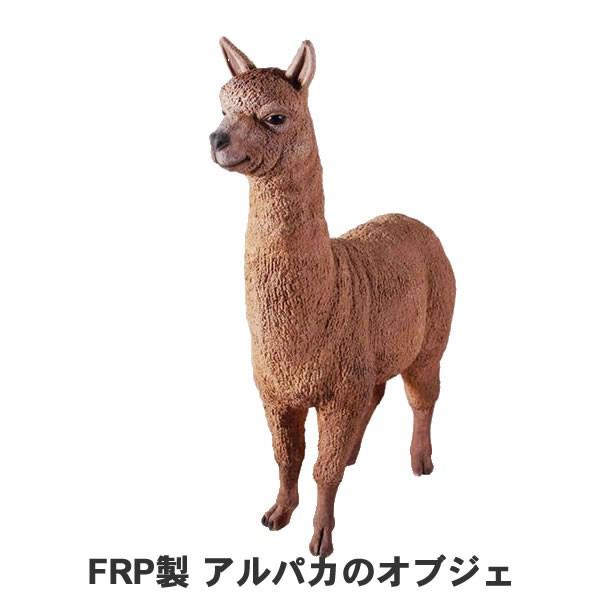 激安ブランド リアル ディスプレイ Frp制 代金引換不可 オーナメント ディスプレー 置物オブジェ アルパカ 今にも動きそうなかわいい目のリアルな アルパカです 動物オブジェ 展示場 会場 広場 公園 アルパカ インテリア雑貨 Oyostate Gov Ng