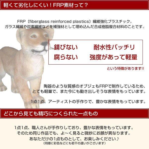 ヤモリ オブジェ (家の守り神に) 置物 爬虫類 オーナメント ディスプレー 代金引換不可 ディスプレイ FRP制 リアル 縁起 やもり 60cm 