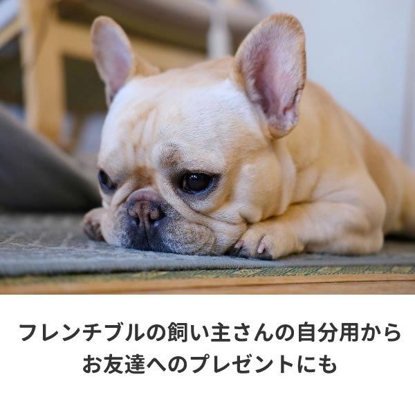 フレンチブルドッグ グッズ Tシャツ フレンチブル ワンポイント おもしろ 雑貨 犬 オリジナル 犬柄 メンズ レディース プリント 服 可愛い おしゃれ 面白い Frenchi Wan T コスチュームで仮装大賞 通販 Yahoo ショッピング