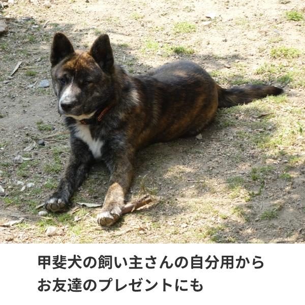 甲斐犬 グッズ Tシャツ 雑貨 服 オリジナル 犬柄 メンズ レディース S M L Xl 3l 4l プリント 犬 面白い 可愛い おしゃれ かわいい ギフト Kaiken T コスチュームで仮装大賞 通販 Yahoo ショッピング