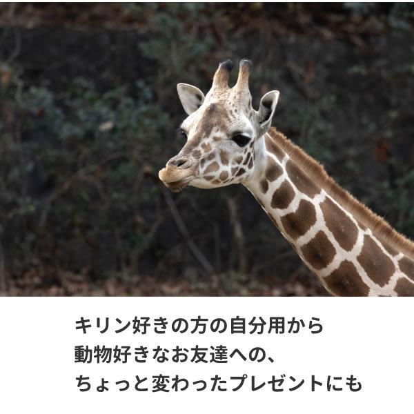 キリン Tシャツ グッズ 雑貨 オリジナル ジャンプ 服 メンズ レディース S M L Xl 3l 4l プリント 可愛い おもしろ おしゃれ かわいい ギフト プレゼント Kirin Jump T コスチュームで仮装大賞 通販 Yahoo ショッピング