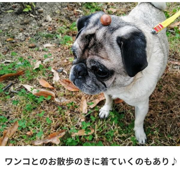 パグ Tシャツ グッズ パグ犬 ワンポイント おもしろ 雑貨 犬 オリジナル 犬柄 メンズ レディース プリント 服 可愛い おしゃれ 面白い Pug Wan T コスチュームで仮装大賞 通販 Yahoo ショッピング