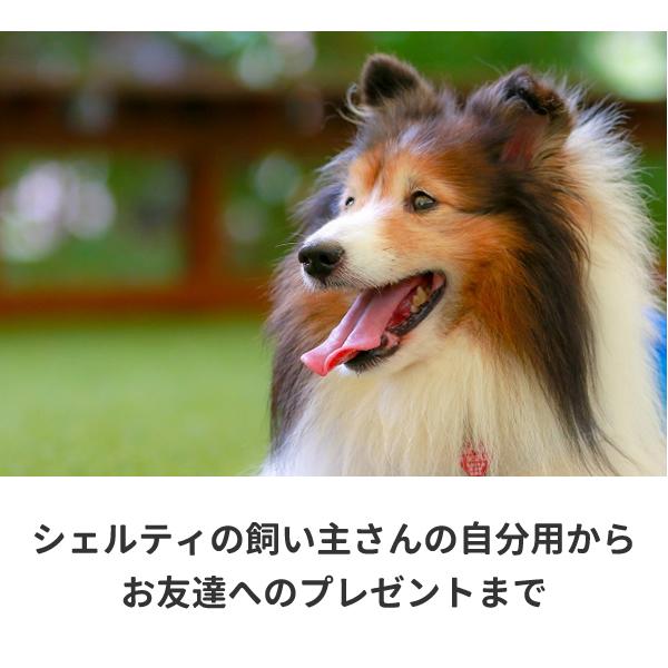シェルティ Tシャツ グッズ 雑貨 服 おもしろ オリジナル メンズ レディース S M L Xl 3l 4l プリント 犬 面白い 可愛い おしゃれ かわいい ギフト Sheltie T コスチュームで仮装大賞 通販 Yahoo ショッピング