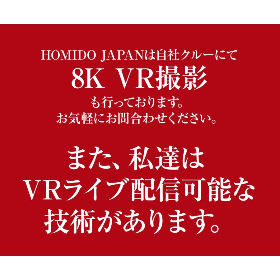 【VRゴーグル】HOMIDO V2 DMM FANZA VR Android / iPhone 15 Plus 対応 スマホ アイドル ゲーム 景品 趣味 ストレス解消｜kasoumegane｜13