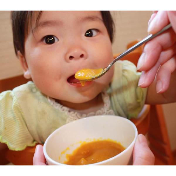 野菜 フレーク 北海道産 無添加 無着色 赤ちゃん 離乳食 介護食 保存食 メール便 送料無料 4種 セット :flakeset:稚内かにグルメ 活彩 北海道 - 通販 - Yahoo!ショッピング 野菜 フレーク 北海道産 無添加 無着色 赤ちゃん 離乳食 介護食 保存食 メール便 送料無料 4種 セット :flakeset:稚内かにグルメ 活彩 北海道 - 通販 - Yahoo!ショッピング