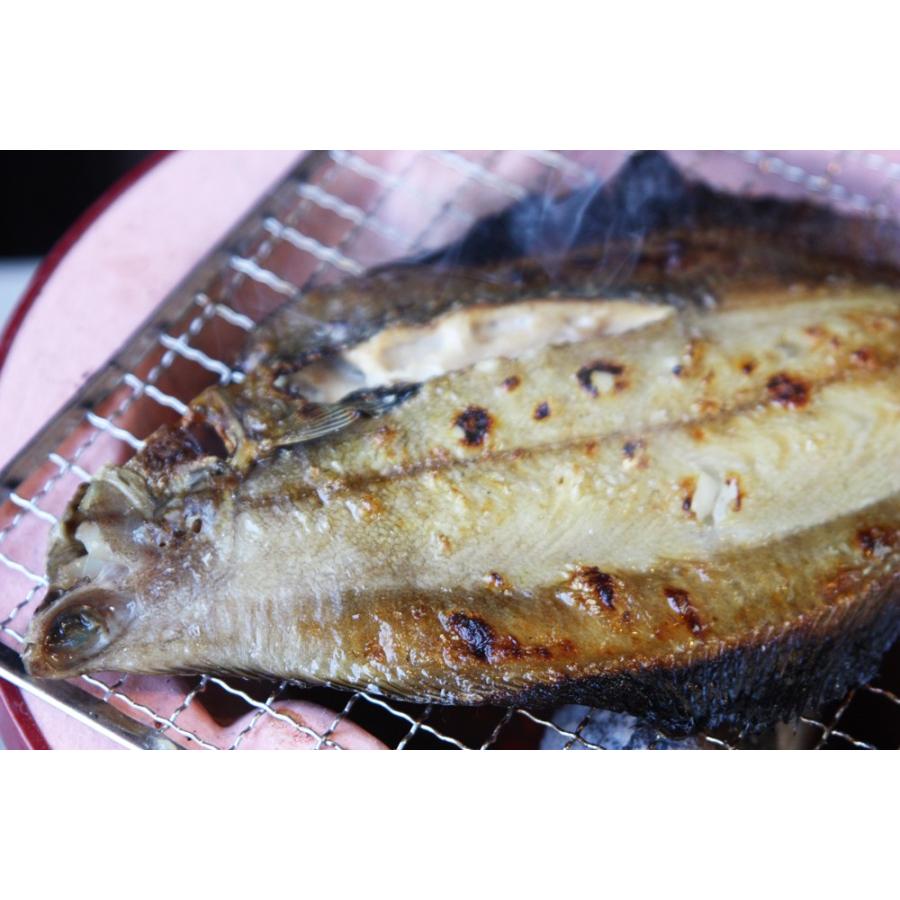 干物 一夜干し ナメタガレイ 海産物 魚 北の魚 なめたがれい 1枚入 Itiyabosi Nameta01 稚内かにグルメ 活彩北海道 通販 Yahoo ショッピング