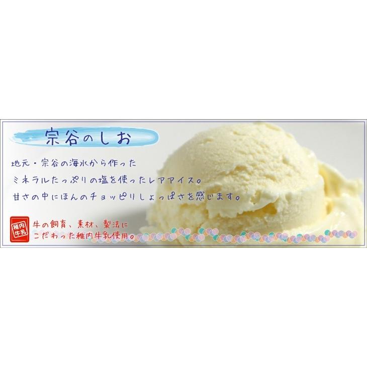 アイスクリーム 稚内牛乳 ノンホモ お取り寄せ お中元 ギフト あいすくりーむ ジェラート アイス 宗谷の塩 業務用 2000ml 2L｜kassai｜02