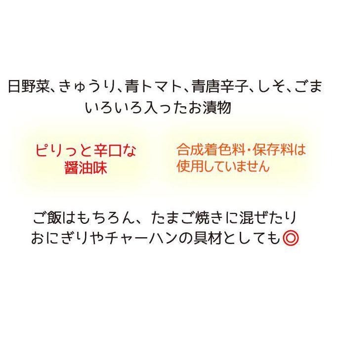 まぜちゃい菜 110g×5袋 メール便送料無料｜kasuga-daimyouduke｜03