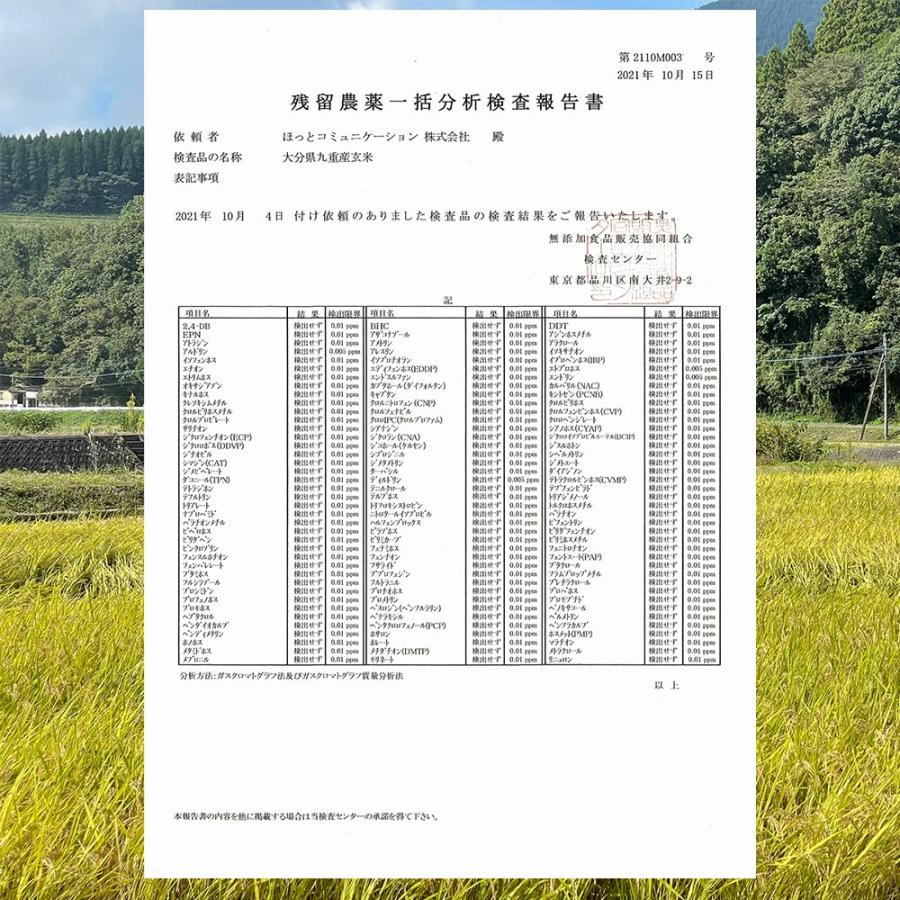 新米 特Aひとめぼれ米 残留農薬ゼロ 発芽玄米  1.5kg×3袋（4.5kg）無洗米 大分県産 発芽玄米 春日屋 爆買の画像