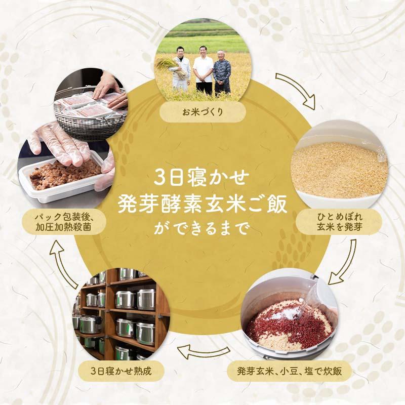発芽酵素玄米 18食セット 3日寝かせ 発芽酵素玄米ごはん 発酵玄米 発芽