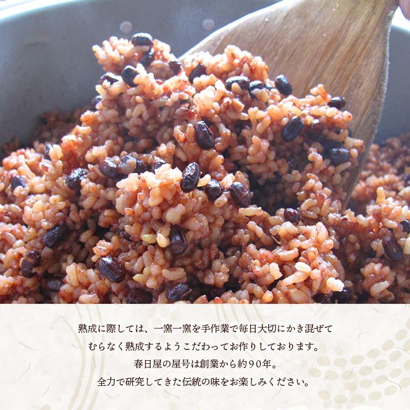 発芽酵素玄米 18食セット 3日寝かせ 発芽酵素玄米ごはん 発酵玄米 発芽