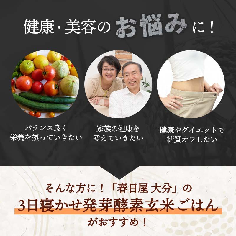 冷凍＞ギフト用 3日寝かせ発芽酵素玄米ごはん12食(125g×12食