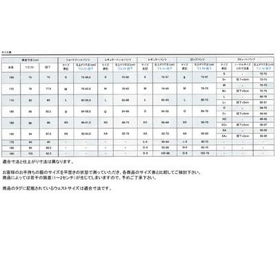 DESCENTE（デサント） ユニフォーム練習着パンツ ピンストライプ加工