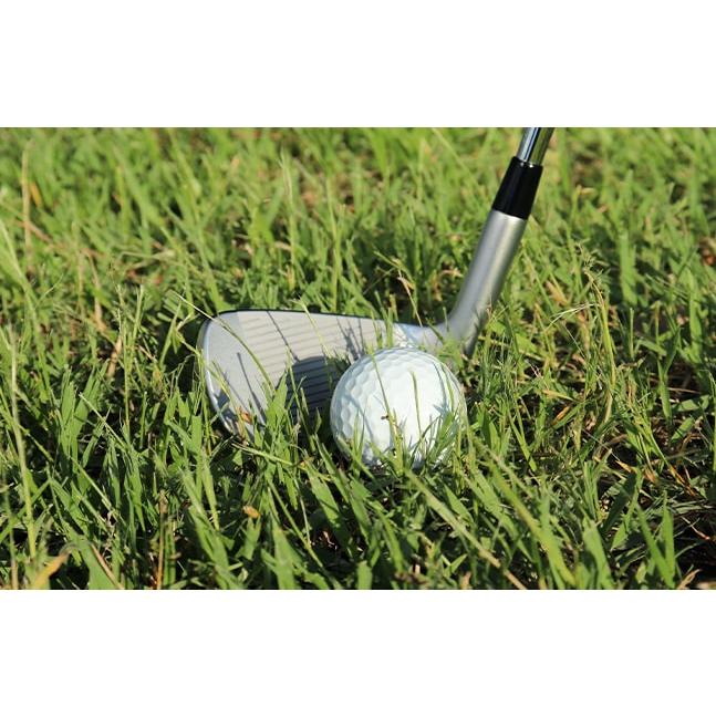 PING - ping chipR 34インチ PING ピン ゴルフ チッパー ChipR ランニング ウェッジ 34インチ