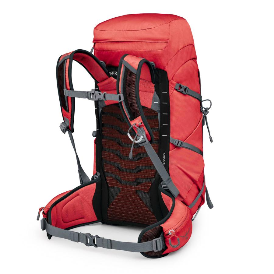 OSPREY（オスプレー） バックパック テンペスト33 女性向 リュック