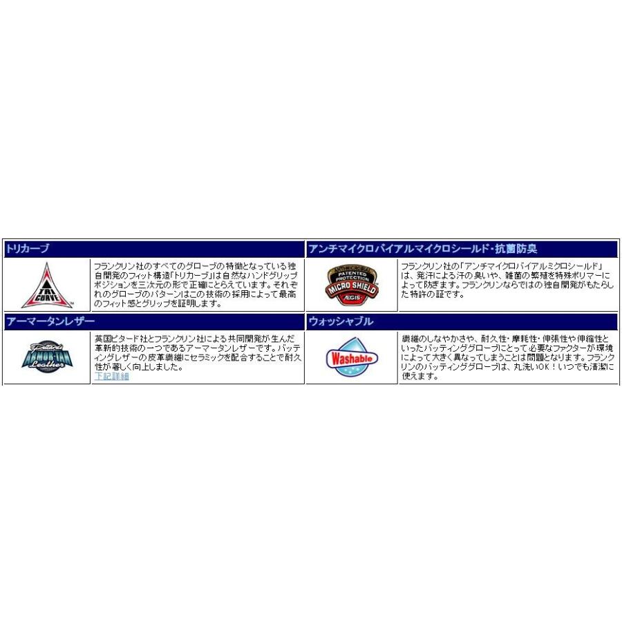 フランクリン Franklin バッティング手袋 両手用 丸洗い可能 HZ-71 ホワイト×ピンク(10131) : カスカワスポーツ - 通販 -  Yahoo!ショッピング