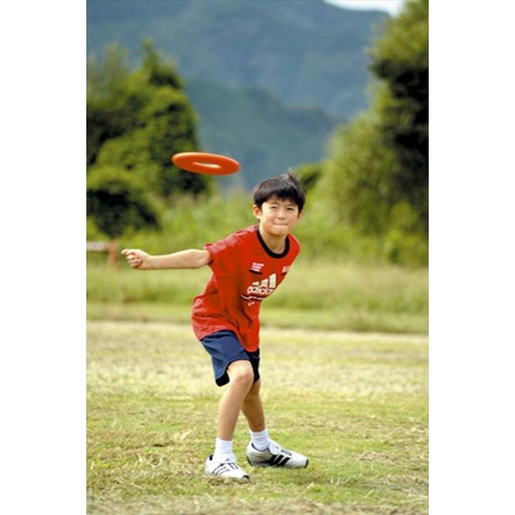 EVERNEW（エバニュー） ドーナツディスク（6色組） : カスカワ