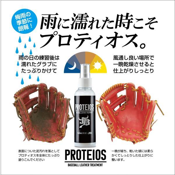 WAGYU JB PROTEIOS プロティオス 詰め替え用 グラブ用トリートメント 