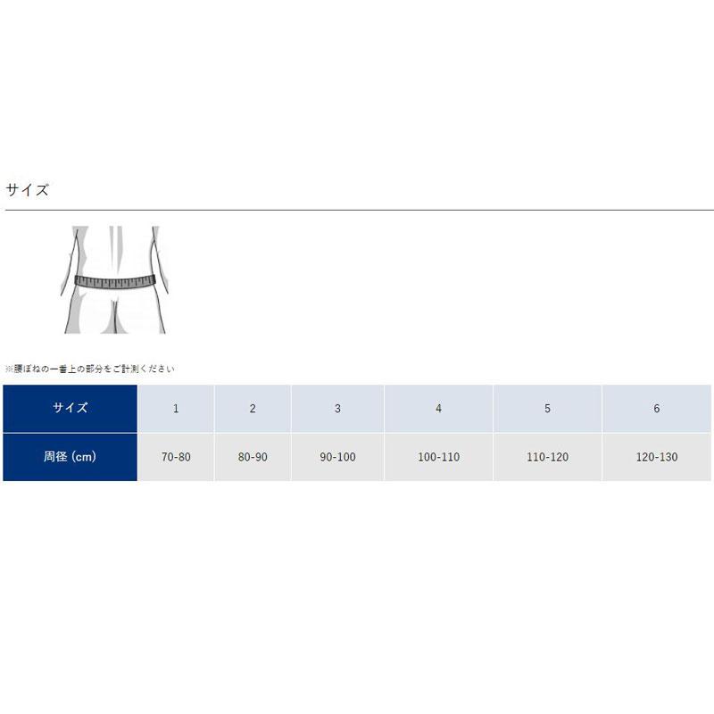 腰椎サポーター バウアーファインド ルンボトレイン 腰 BAUERFEIND LUMBOTRAIN ポイント10倍の画像