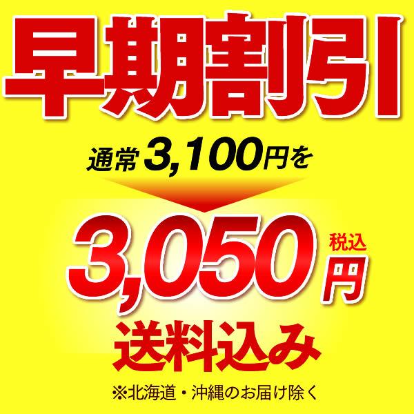 お歳暮 ギフト お菓子 ( 早割 2025 和菓子 食品 食べ物 御歳暮 お取り寄せ お年賀 2026 スイーツ ギフトセット カステラ セット ) あかね 風呂敷包み WG47 | 長崎心泉堂 | 03