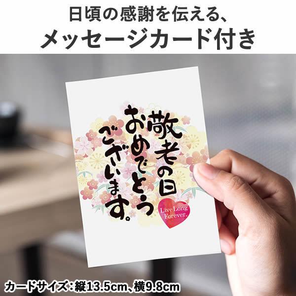 母の日ギフト 21 プレゼント スイーツ セット カステラ 和菓子 お菓子 Md9o ランキング 最中 どら焼き 和まごころ 人気ブランド 誕生日 ケーキ