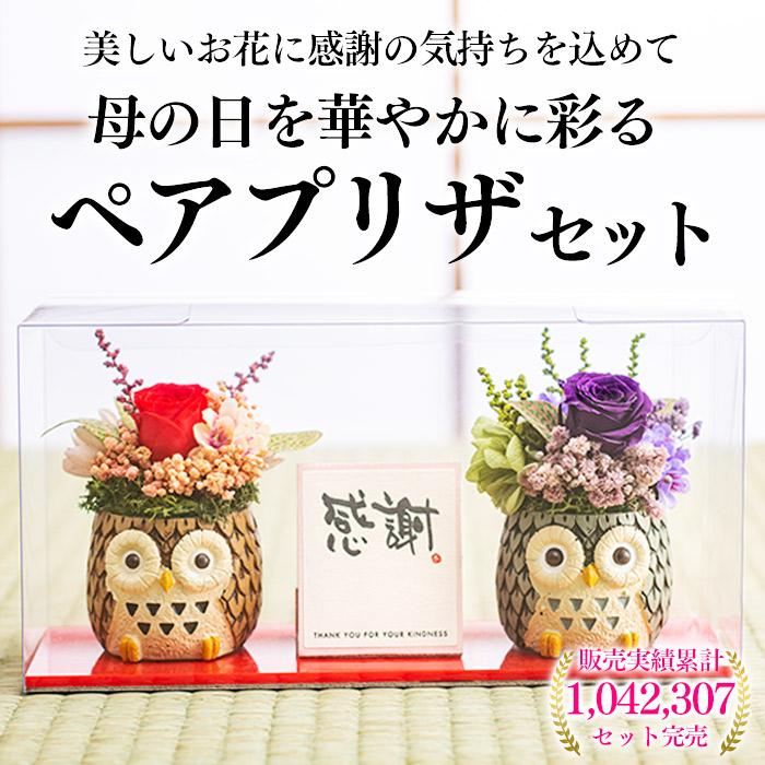 母の日 花 プレゼント ( 80代 70代 高級 メッセージ カード 2024 施設 セット 記念品 動物 鳥 ギフト ギフトランキング ) ふくろうペアプリザ MDIG｜kasutera1ban｜03