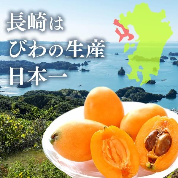 お供え お菓子 ゼリー ( 御供 お彼岸 四十九日 法事 のし 日持ち おそなえ 法事のお返し 仏壇 仏事 品物 49日 お返し 春のお彼岸 ) 果物 びわ 9個入り TO1F｜kasutera1ban｜02