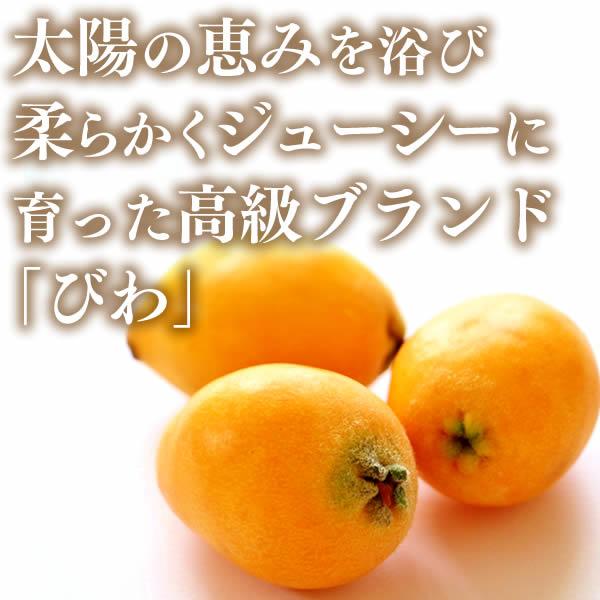 お供え お菓子 ゼリー ( 御供 お彼岸 四十九日 法事 のし 日持ち おそなえ 法事のお返し 仏壇 仏事 品物 49日 お返し 春のお彼岸 ) 果物 びわ 9個入り TO1F｜kasutera1ban｜03