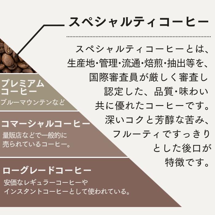 お年賀 お菓子 ギフト 2026 コーヒー ( お歳暮  御歳暮 2025 スイーツ コーヒー 珈琲 和菓子 お取り寄せ ) テトラコーヒー カステラ 0.3号 WGTL | 長崎心泉堂 | 05
