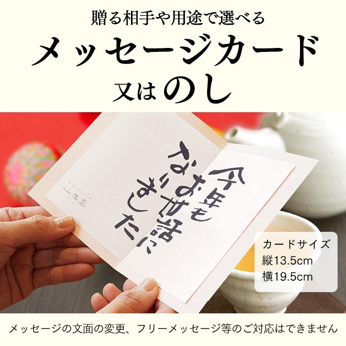 お年賀 お菓子 ギフト 2026 コーヒー (お歳暮 2025 スイーツ コーヒー ギフトセット 珈琲 無糖 食品 食べ物 和菓子 のし) 2本 カステラ セット WGC3 | 長崎心泉堂 | 14