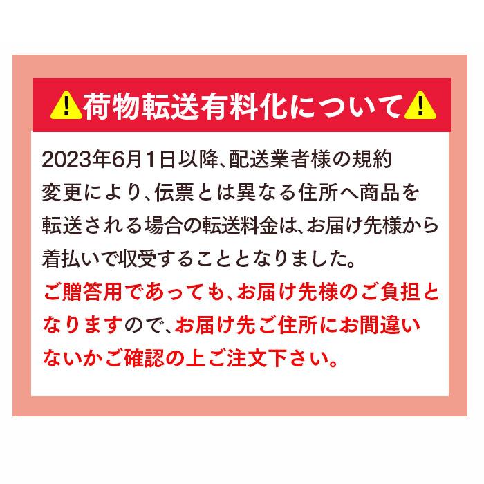 父の日 スイーツ プレゼント カステラ ギフト ( 長崎 お菓子 和菓子 内祝 お祝い 2024 挨拶 誕生日 のし 食べ物 食品 高級 おしゃれ セット ) やよい TO27｜kasutera1ban｜12