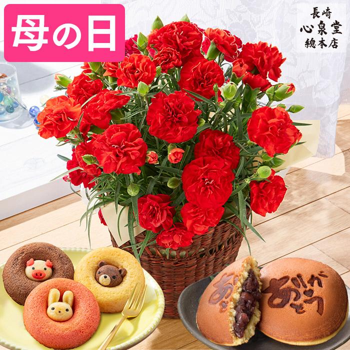 母の日 花 カーネーション 21 ギフト プレゼント 母の日ギフト 贈り物 種類 鉢花 40代 50代 60代 70代 80代 4号 送料無料 Mdsi Gifta Pot カステラ専門店 長崎心泉堂 通販 Yahoo ショッピング