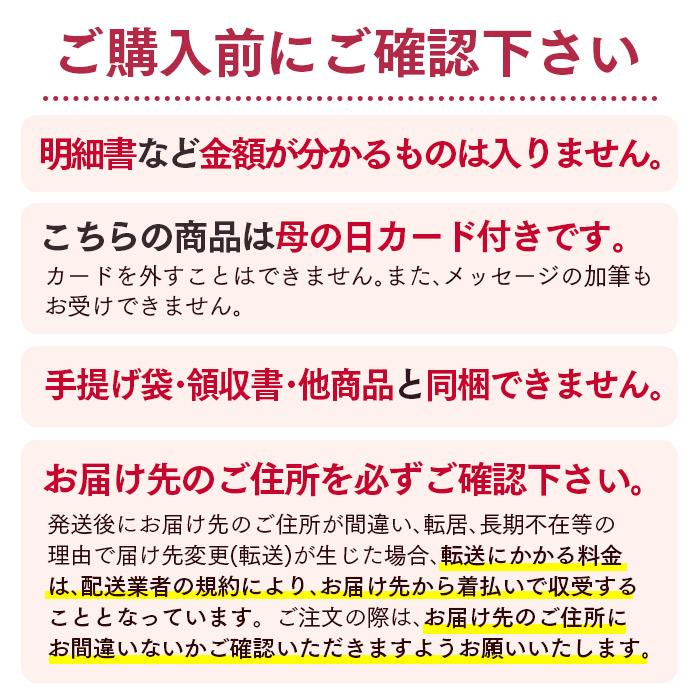 母の日 花 カーネーション プレゼント 2024 ( 鉢植え 生花 花鉢 花束 70代 80代 60代 セット ギフト スイーツ ギフトセット ギフトランキング ) 4号 MDZ8｜kasutera1ban｜14