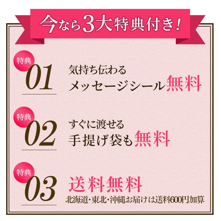 憧れの 退職 お菓子 プチギフト お礼 挨拶 お世話になりました ありがとう 結婚式 卒園 300円 個装 カステラ 個包装 50個 Tkx50 Wantannas Go Id