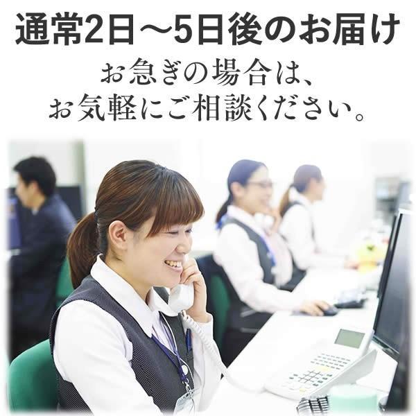 退職 お菓子 お礼 プチギフト ( お菓子 お世話になりました ありがとう 挨拶 産休 子供 会社 職場 友人 食べ物 結婚式 お礼の品 品物 ) カステラ 個包装 TK20｜kasutera1ban｜21