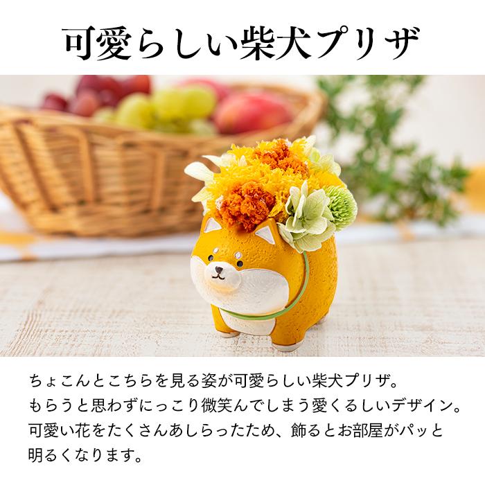 長崎心泉堂 内祝 お祝い 花 ギフト ( プリザーブドフラワー 花と