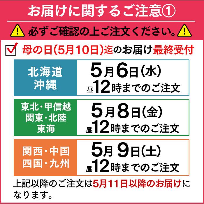 母の日 2026 お菓子 ギフト カステラ ( プレゼント 和菓子 食べ物 食品 スイーツ 商品 贈り物 お祝い おしゃれ ) 0.3号 MDTY | 長崎心泉堂 | 03