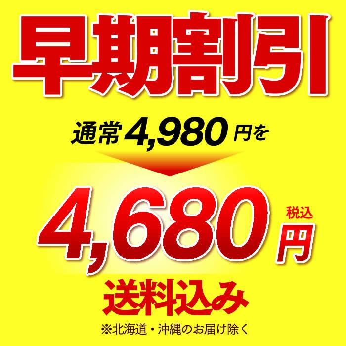 父の日 お菓子 ギフト 2024 早割 ( 挨拶 和菓子 カステラ お土産 食べ物 スイーツ 高級 羊羹 詰め合わせ ) 光華 FDFN｜kasutera1ban｜02