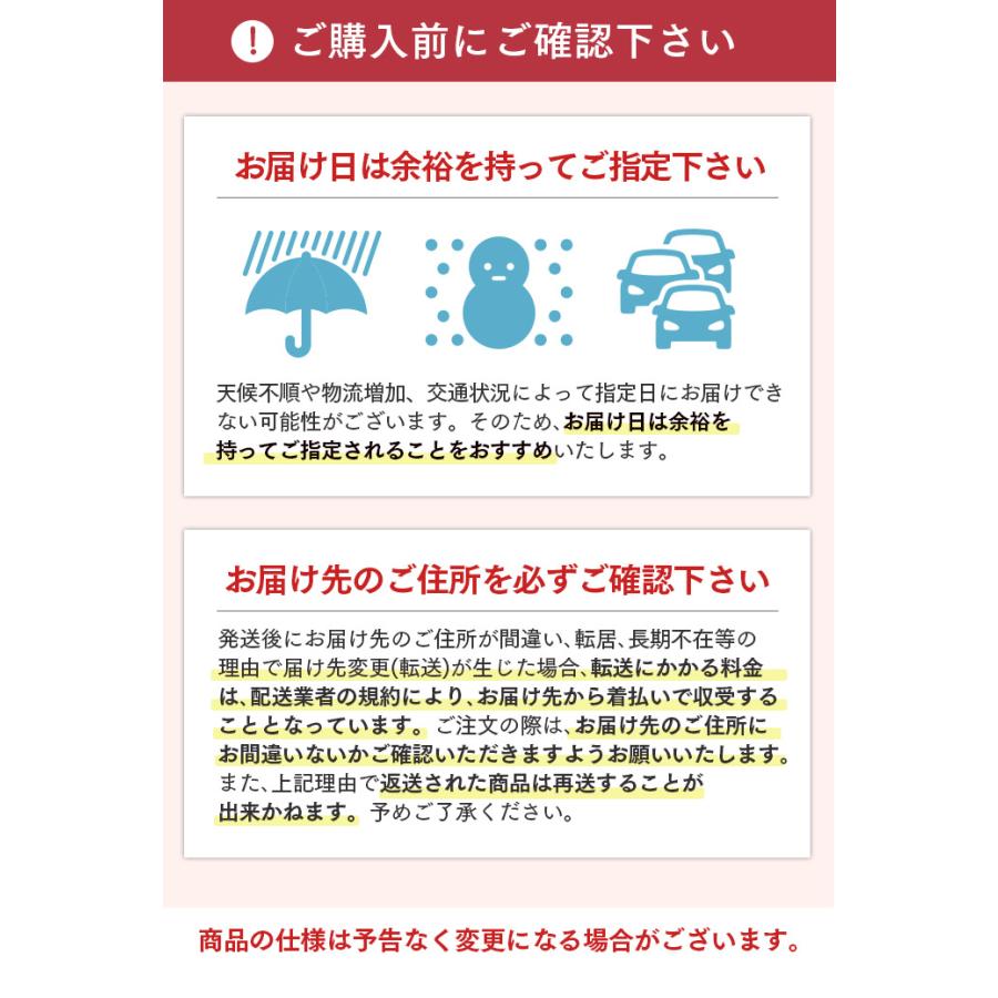 お年賀 干支 午 せんべい ( 2026 お取り寄せ ギフト おしゃれ 和菓子 子供 のし お菓子 挨拶 おせんべい 贈答 煎餅 ) 24枚入 WG1G | 長崎心泉堂 | 14