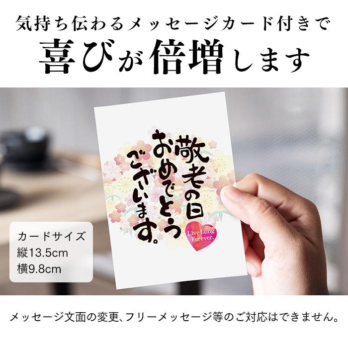 長崎心泉堂 敬老の日 プレゼント 2026 ギフト ( 80代 70代 祖母 孫