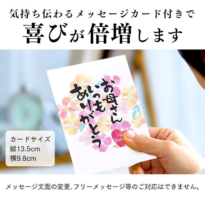 母の日 花 プレゼント ギフト ぬいぐるみ ( 80代 スイーツ お菓子 花束 アレンジメント 60代 70代 和菓子 高級 動物 ) フクロウ カステラ 0.5号 MDVH｜kasutera1ban｜18