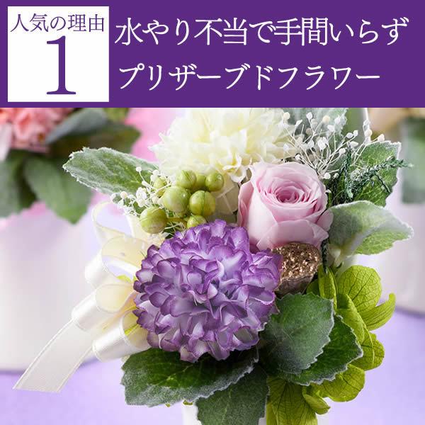 お供え 花 ブリザード プリザーブドフラワー お彼岸 おそなえ 仏花 お悔やみ 仏壇用 種類 アレンジメント 法事 お供え物 宅配 カステラ 仏事 特選 寧々 To2o To2o カステラ専門店 長崎心泉堂 通販 Yahoo ショッピング