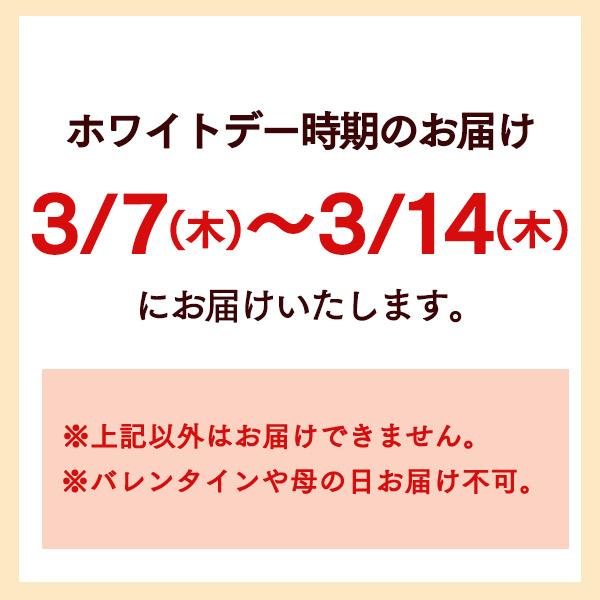 ホワイトデー お返し お返し チョコ 2024 ロディ ( プチギフト お菓子 子供 スイーツ チョコレート ) カステラ 5切れ T340｜kasutera1ban｜18